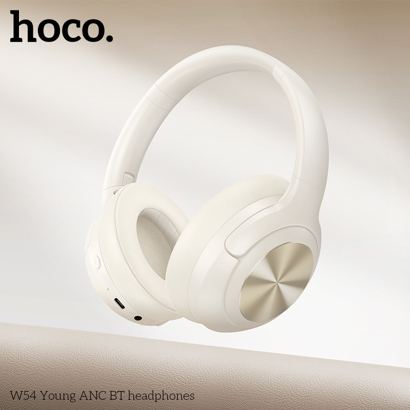 HC-W54-Black